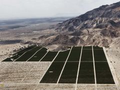 Tapeta National Geographic 413.jpg